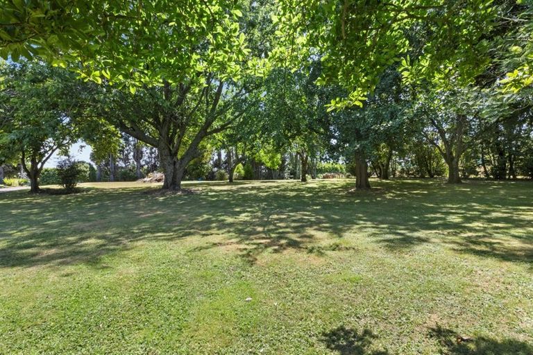 Photo of property in 473 Pyes Pa Road, Pyes Pa, Tauranga, 3173