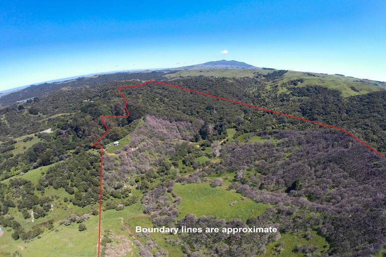 Photo of property in 945 Te Papatapu Road, Raglan, Te Mata, 3894