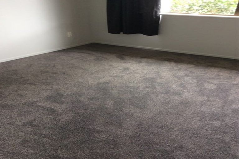 Photo of property in 141c Maungatapu Road, Maungatapu, Tauranga, 3112