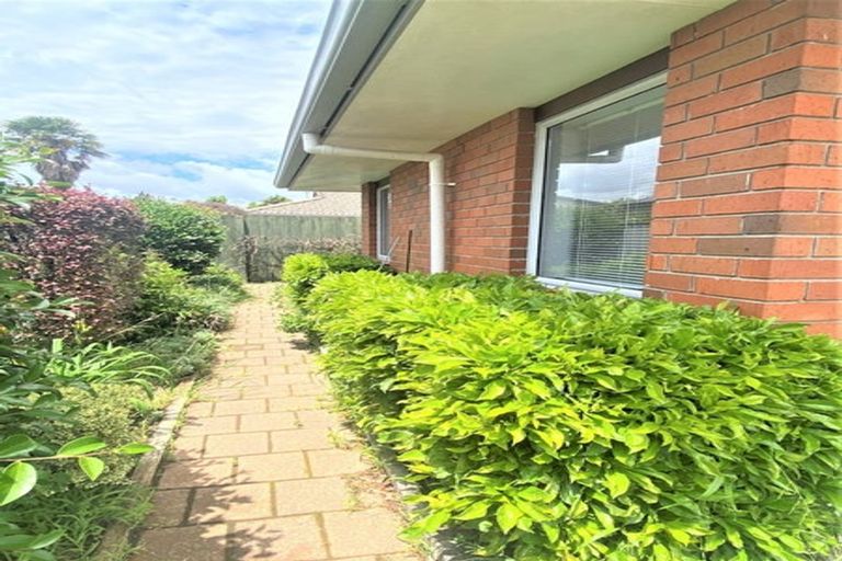 Photo of property in 8a Courtney Road, Gate Pa, Tauranga, 3112