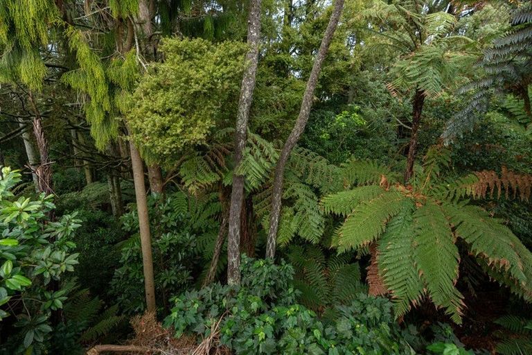 Photo of property in 8 Linthorpe Place, Hillcrest, Hamilton, 3216