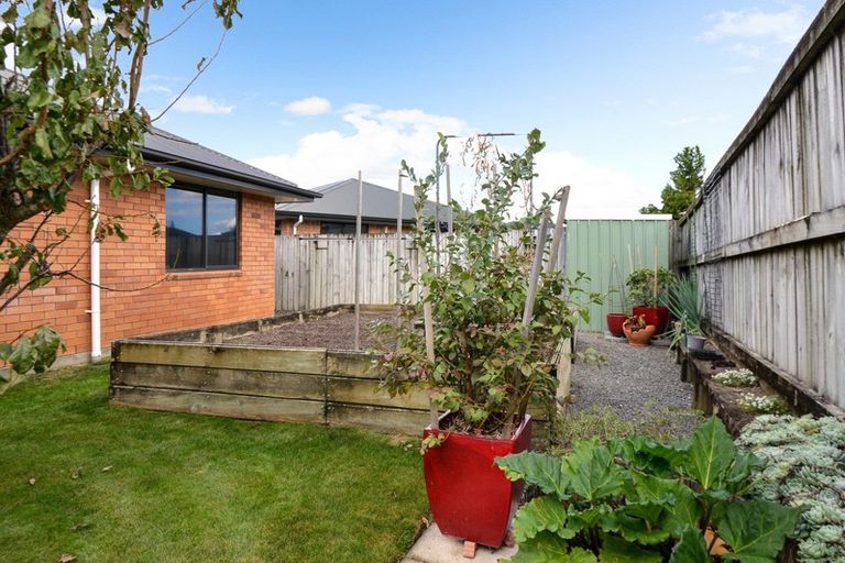 Photo of property in 14 Edward Street, Grandview Heights, Hamilton, 3200