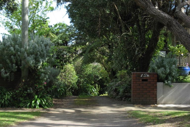 Photo of property in 12a Ronald Street, Strandon, New Plymouth, 4312