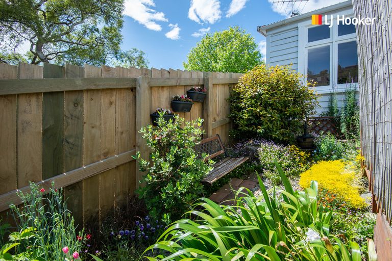 Photo of property in 144 Somerville Street, Waverley, Dunedin, 9013