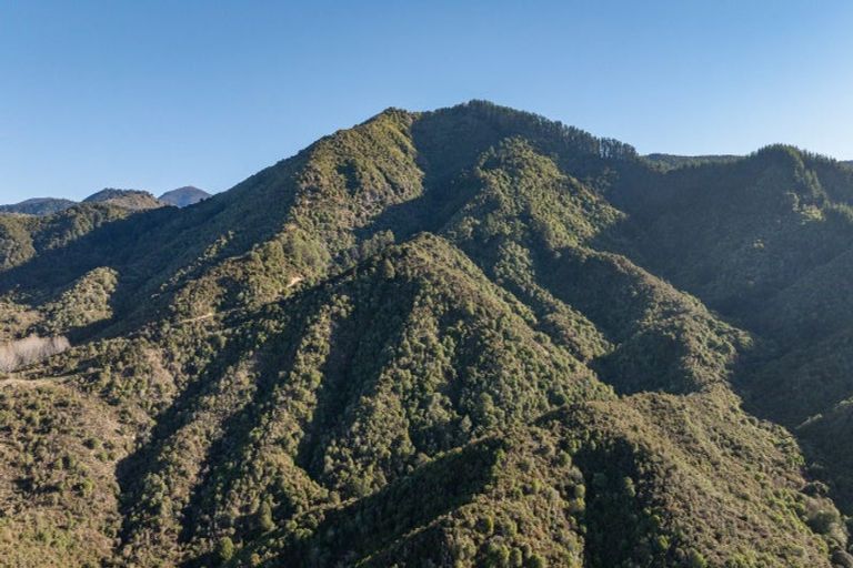 Photo of property in 168 Graham Valley Road, Motueka Valley, Motueka, 7196