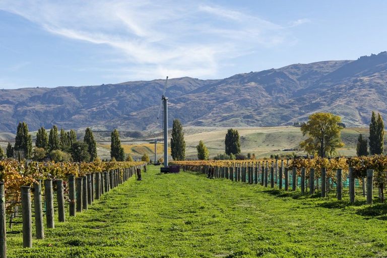 Photo of property in 1034 Luggate-cromwell Road, Mount Pisa, Cromwell, 9383