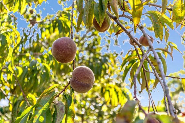 Photo of property in 139 Barnett Avenue, Best Island, Richmond, 7081