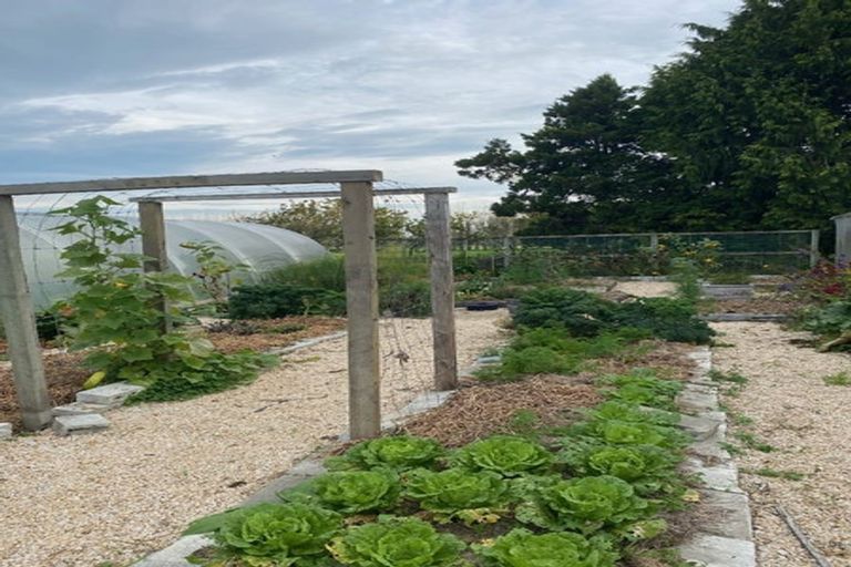 Photo of property in 80 Carters Terrace, Tinwald, Ashburton, 7700