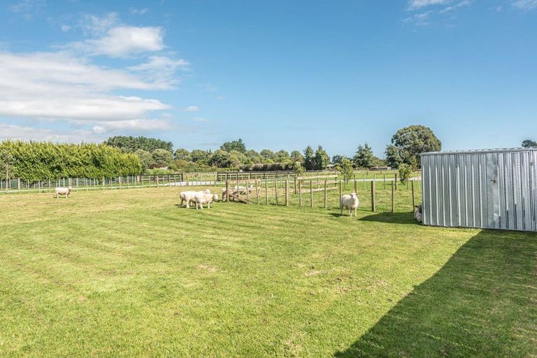 Photo of property in 35 Saint Oswalds Drive, Brunswick, 4571