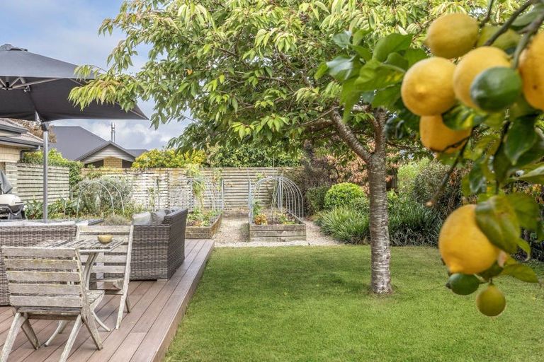 Photo of property in 24 Honiss Place, Cambridge, 3434