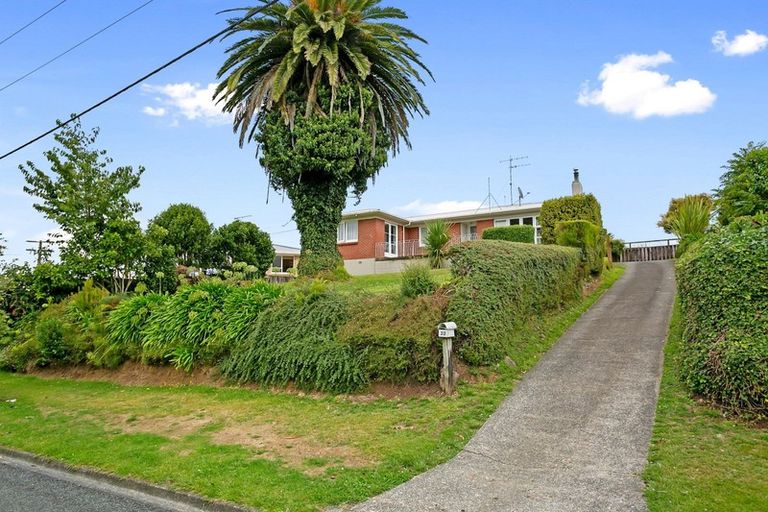 Photo of property in 22 Reservoir Street, Putaruru, 3411