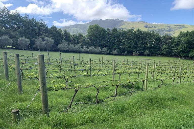 Photo of property in 5518 Christchurch Akaroa Road, French Farm, 7582