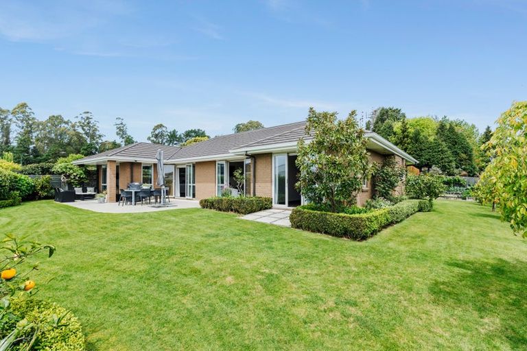 Photo of property in 40 Mervyn Place, Ohauiti, Tauranga, 3112