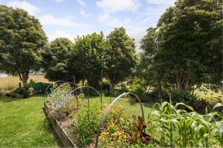 Photo of property in 3 Adams Street, Waihi, 3610