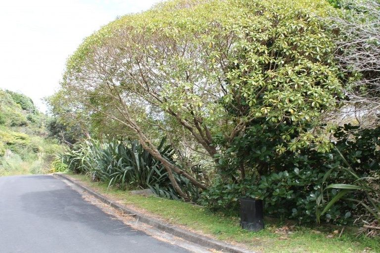 Photo of property in 4 Fantail Terrace, Tairua, 3508