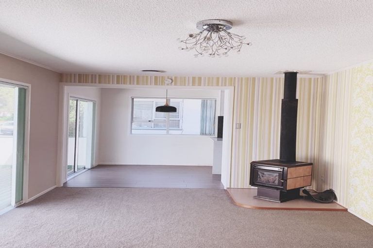 Photo of property in 45 Salamanca Road, Sunnynook, Auckland, 0620