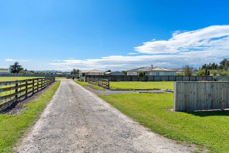 Photo of property in 31 Millard Avenue, Kuripuni, Masterton, 5810