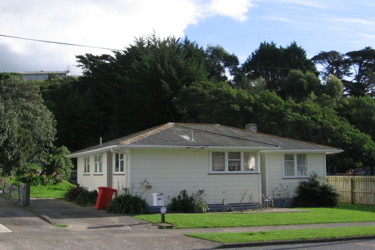 Photo of property in 207 Sievers Grove, Cannons Creek, Porirua, 5024