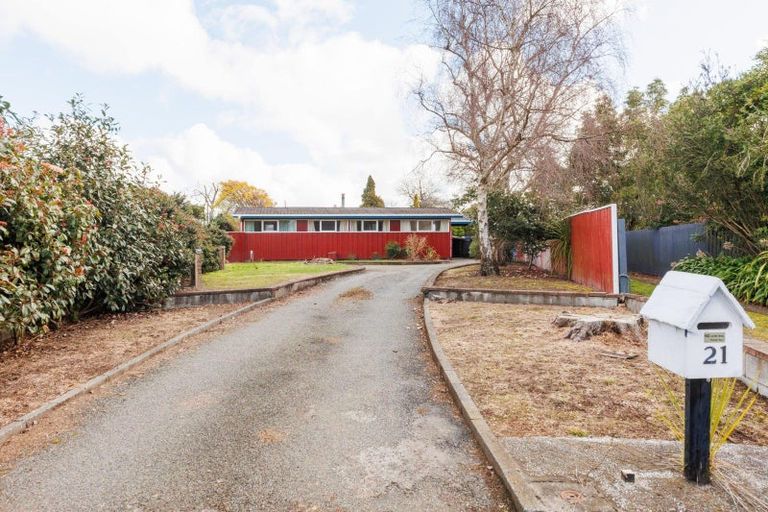 Photo of property in 21 Saint Albans Avenue, Hokowhitu, Palmerston North, 4410