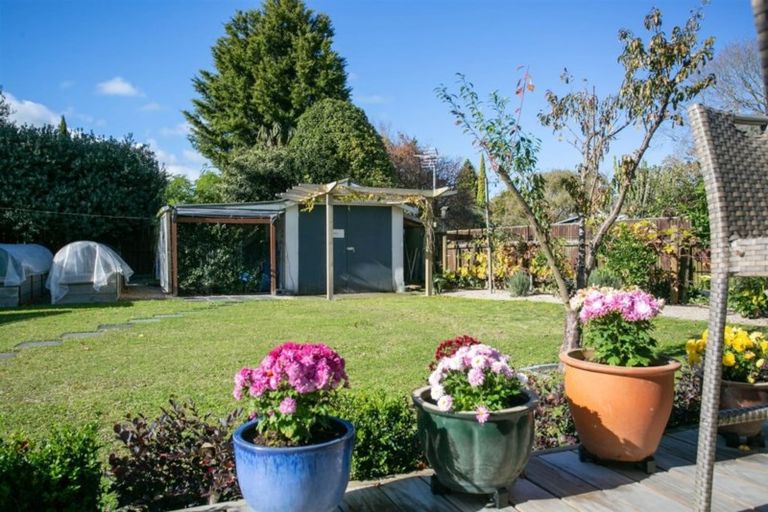 Photo of property in 10 Hampton Terrace, Matamata, 3400