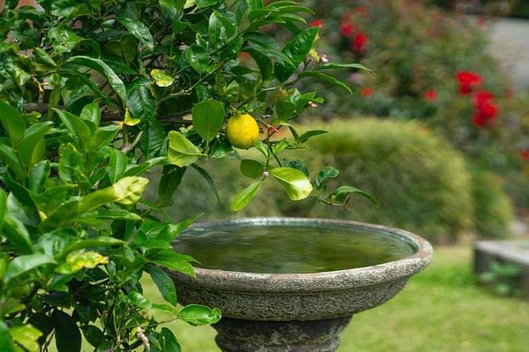 Photo of property in 131 Oyster Point Road, Kaukapakapa, Warkworth, 0984