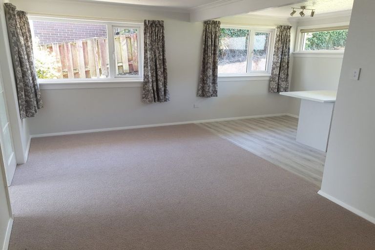 Photo of property in 67 Mckerrow Street, Shiel Hill, Dunedin, 9013