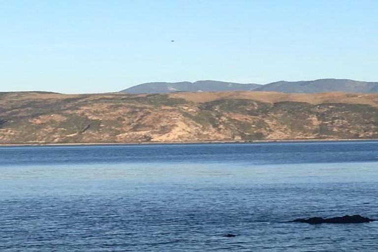 Photo of property in 144 Breaker Bay Road, Breaker Bay, Wellington, 6022