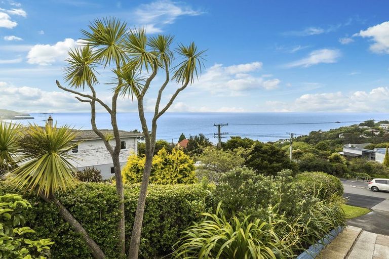 Photo of property in 44 Aberdeen Road, Saint Clair, Dunedin, 9012