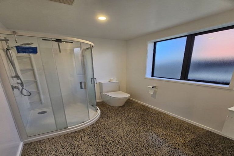 Photo of property in 22 Probert Crescent, Chartwell, Hamilton, 3210