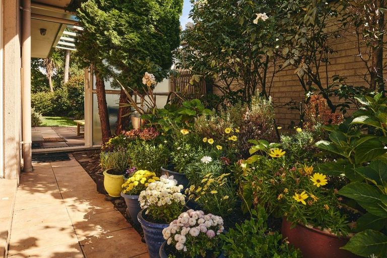 Photo of property in 12 Battys Road, Springlands, Blenheim, 7201