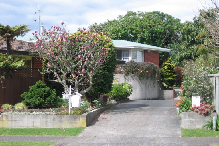 Photo of property in 174b Te Hono Street, Maungatapu, Tauranga, 3112