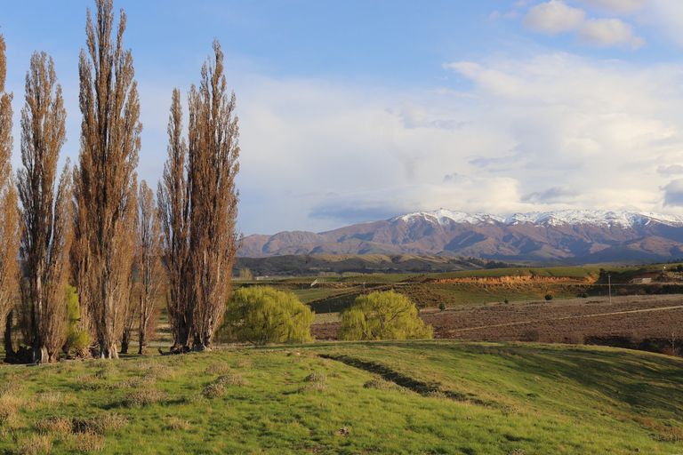 Photo of property in 88 Crawford Hills Road, Galloway, Alexandra, 9393