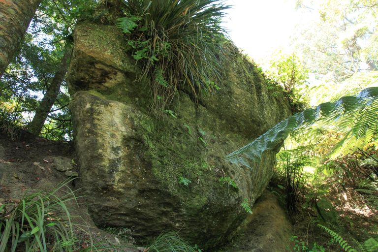 Photo of property in 945 Te Papatapu Road, Raglan, Te Mata, 3894