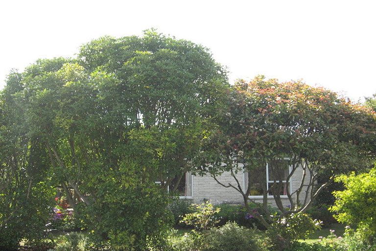 Photo of property in 4 Murphy Road, Wainui, Gisborne, 4010