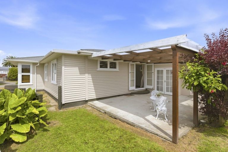 Photo of property in 21 Lemon Street, Otaki, 5512