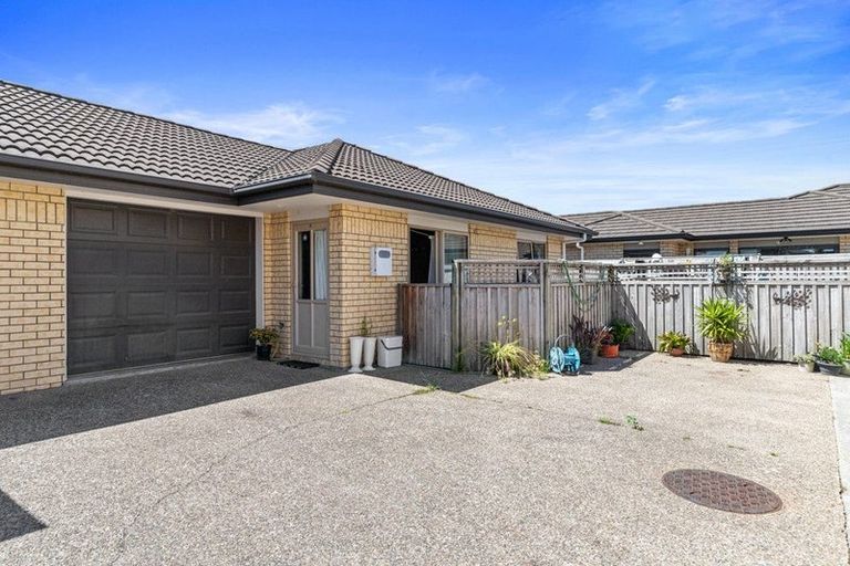 Photo of property in 207e Killarney Road, Frankton, Hamilton, 3204