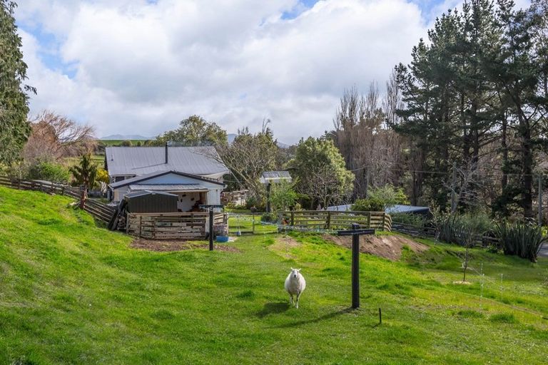 Photo of property in 40 Norsewood Ormondville Road, Norsewood, 4974