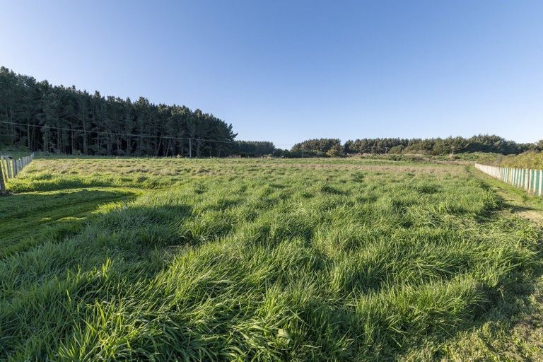 Photo of property in 11 Carex Grove, Foxton Beach, Foxton, 4815