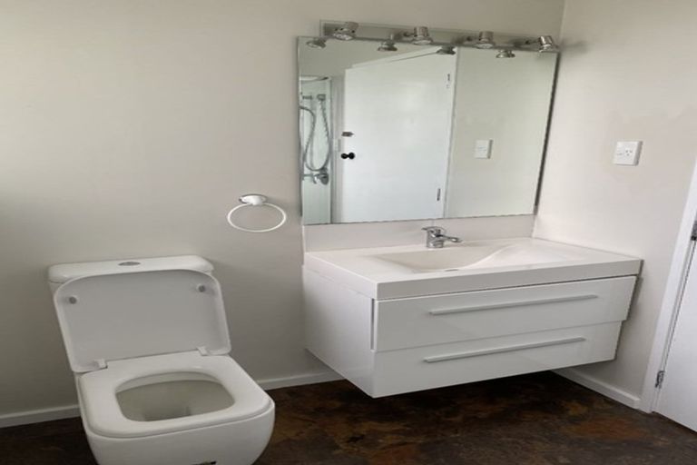 Photo of property in 117 Fairfield Road, Fairfield, Hamilton, 3214