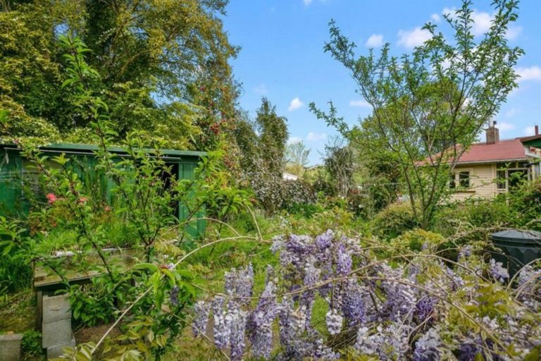 Photo of property in 13 Williamson Street, Cambridge, 3434