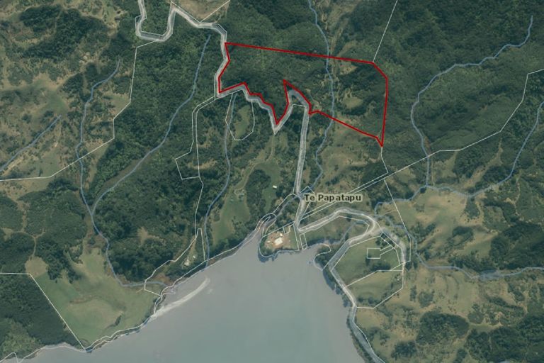 Photo of property in 945 Te Papatapu Road, Raglan, Te Mata, 3894