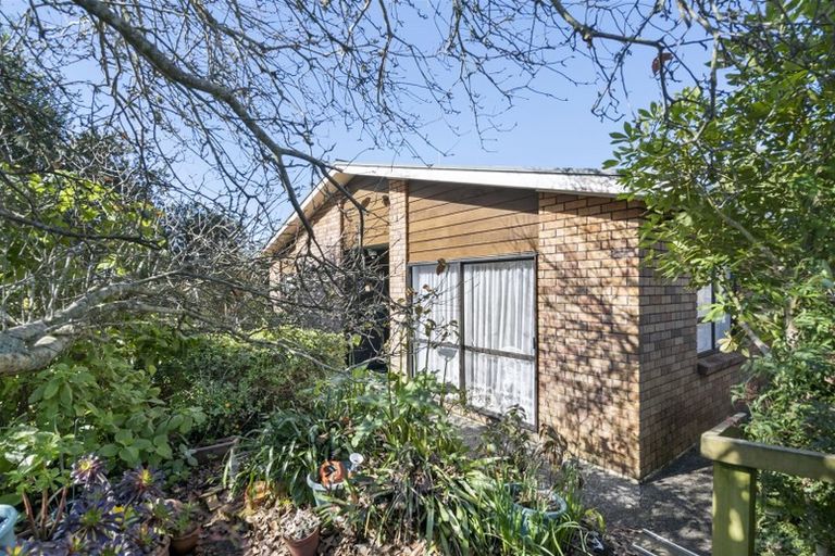 Photo of property in 1/3 Jacanas Place, Unsworth Heights, Auckland, 0632