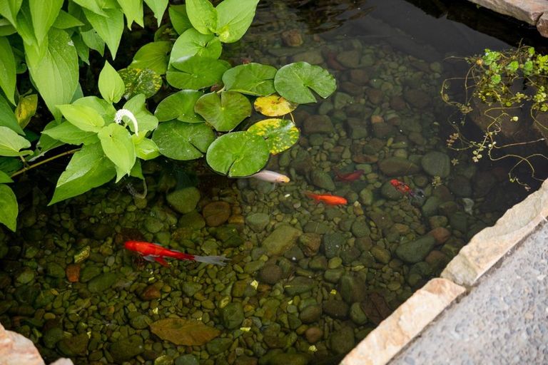 Photo of property in 46 Saint Pauls Drive, Brookfield, Tauranga, 3110