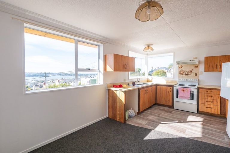 Photo of property in 41 Duncan Street, Dunedin Central, Dunedin, 9016