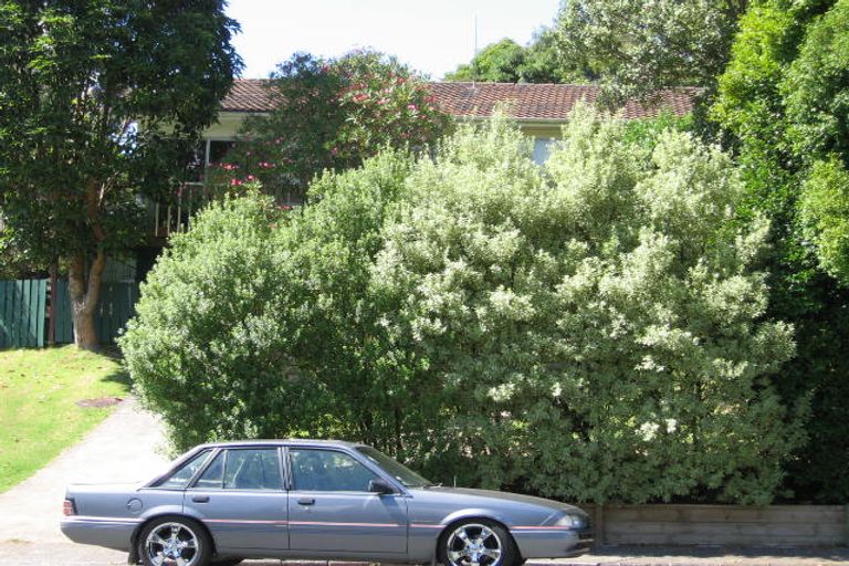 Photo of property in 8 June Place, Torbay, Auckland, 0630