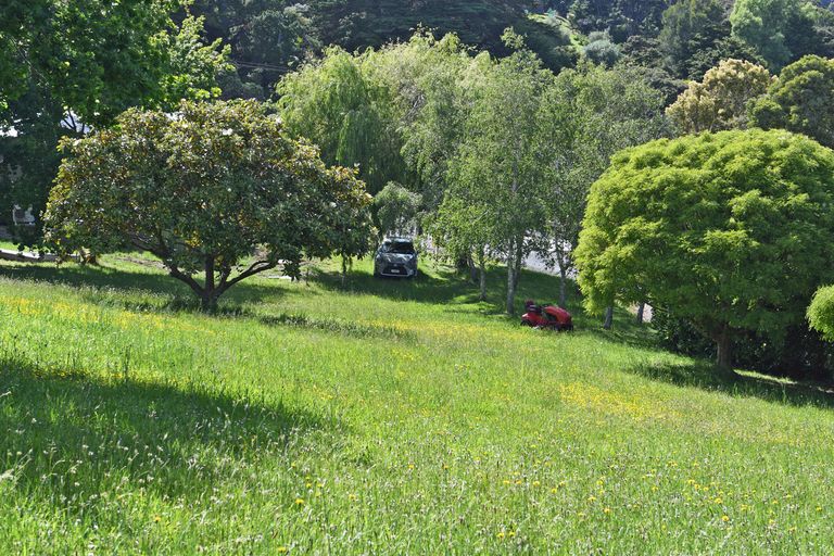 Photo of property in 110 Ti Point Road, Ti Point, Leigh, 0985