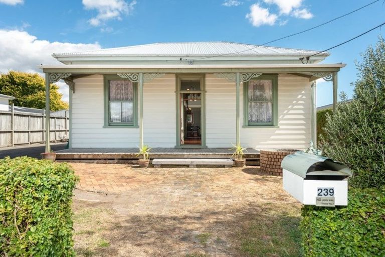 Photo of property in 239 Boucher Avenue, Te Puke, 3119