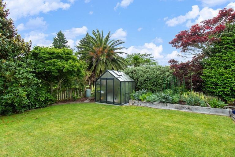 Photo of property in 17 Jackson Street, Springfield, Rotorua, 3015