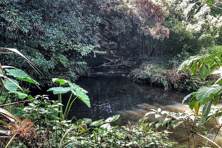 Photo of property in 5a Lanark Road, Kerikeri, 0230