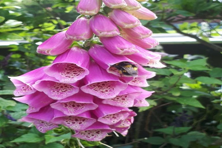 Photo of property in 121 Wainuiomata Road, Wainuiomata, Lower Hutt, 5014